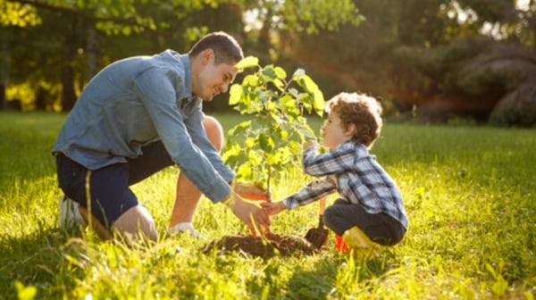Father planting a tree with his son