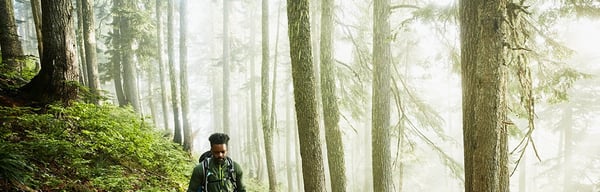 Man walking in woodland